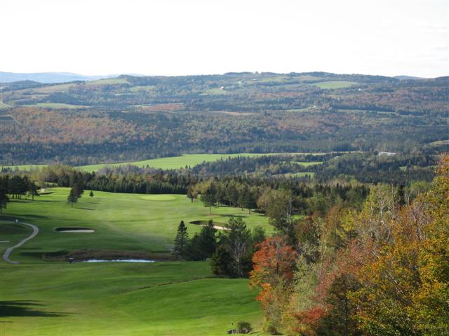 Balsams